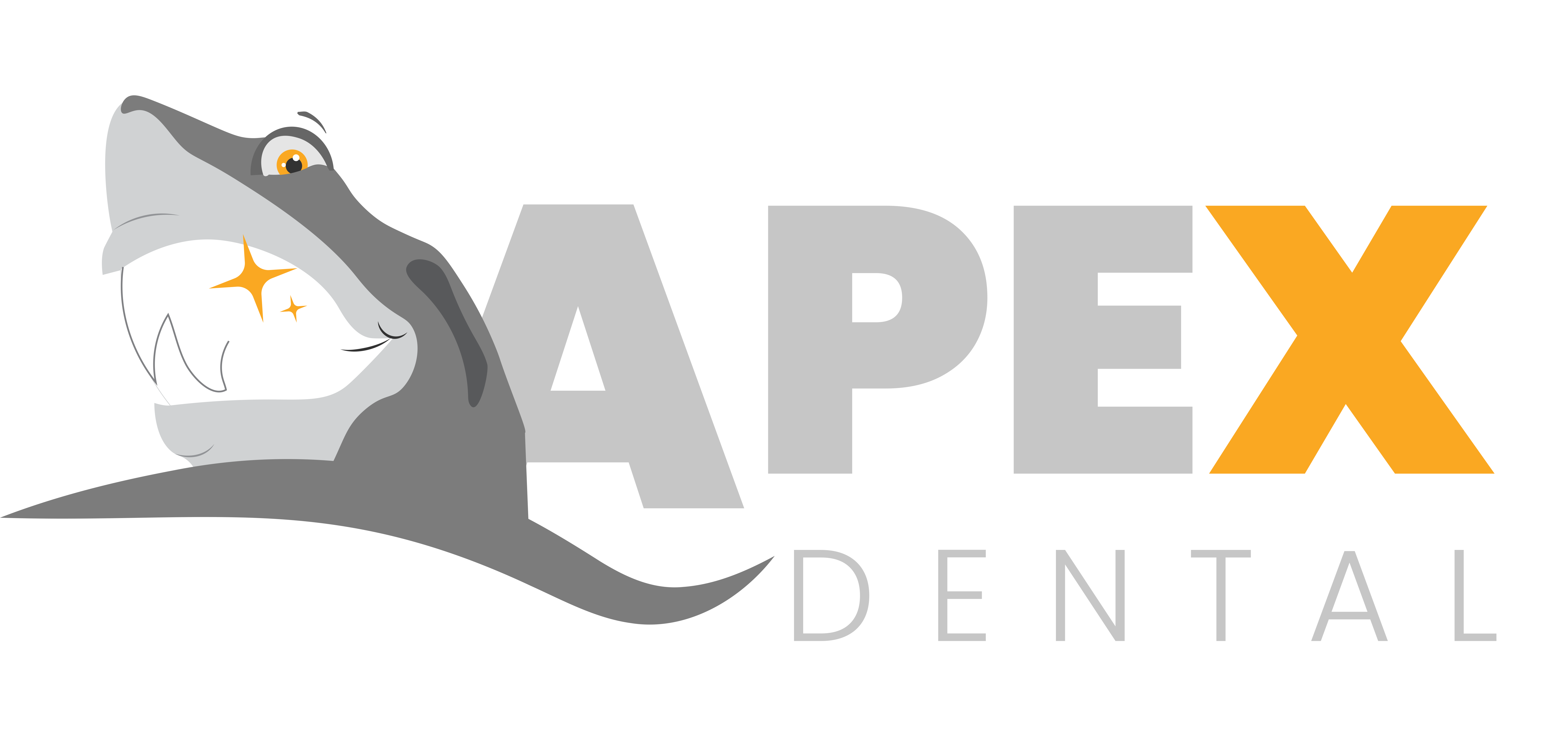 About Dental Vision Hearing Insurance